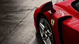 red Ferrari vehicle, Ferrari, Ferrari Enzo, car