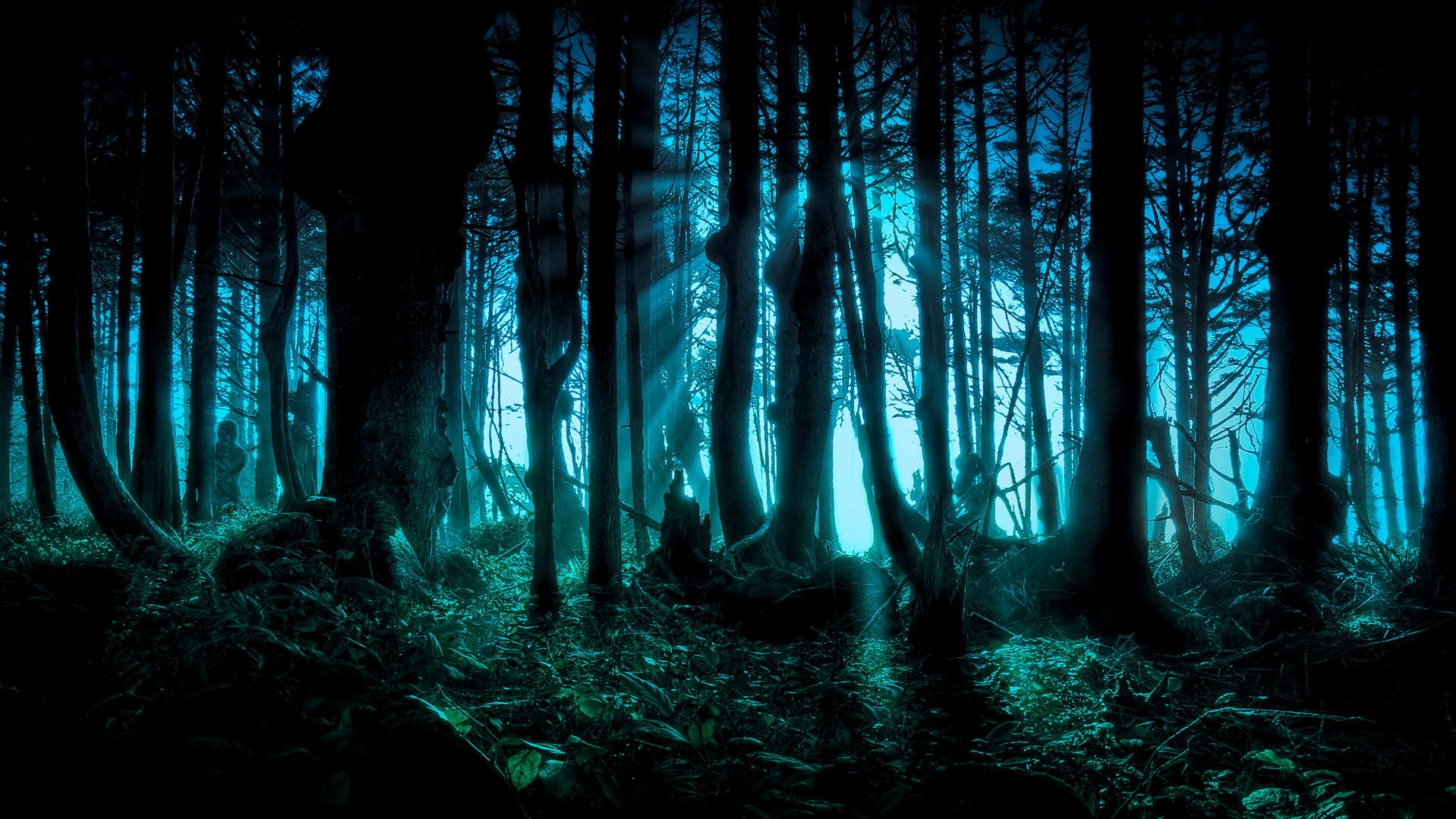 black trees, forest, night, fantasy art, digital art