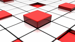 red and white checkered board