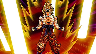 Dragon Ball Z Son Goku illustration HD wallpaper