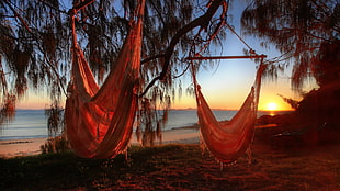two brown hammocks, beach, sunlight, relaxing, hammocks HD wallpaper