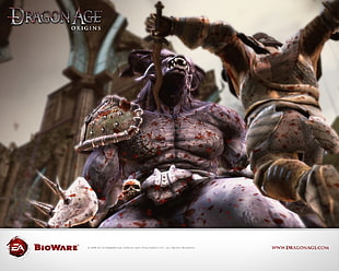Dragon Age Origins digital wallpaper, Dragon Age, Dragon Age: Origins