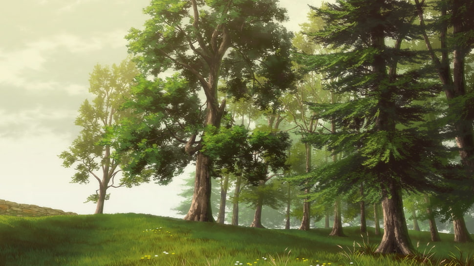 tree and grass covered field illustration, anime, trees, nature HD wallpaper