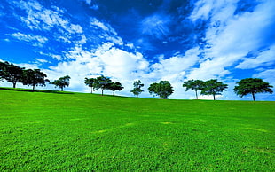 green grass field and green trees under blue cloudy sky