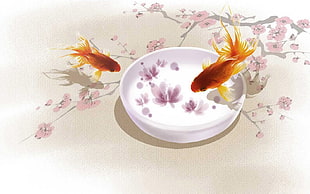 white and red floral ceramic bowl, Bubble Eye, fish, animals