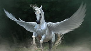 Pegasus painting, Pegasus, horse, wings, animals