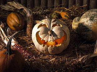 Gray Halloween Pumpkin decor