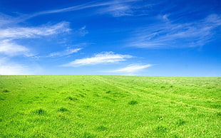 blue and green abstract painting, landscape, grass, field HD wallpaper