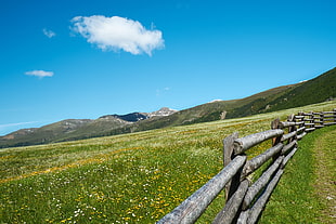 photo of field and mountains, wiese