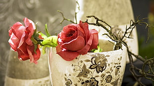 shallow focus photography of rose in ceramic pot