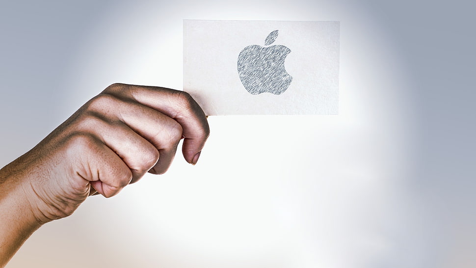 person holding Apple printed logo HD wallpaper