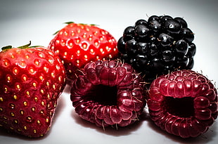 assorted berries screenshot HD wallpaper