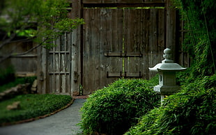 brown wooden gate, Japan, Asian architecture, gates