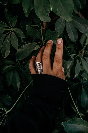 silver-colored ring, Hand, Ring, Leaves