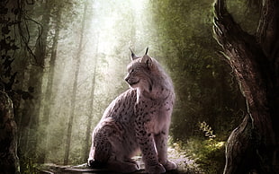 white and black lynx, animals, lynx, fantasy art HD wallpaper