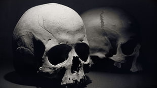 gray skull illustration, skull, bones