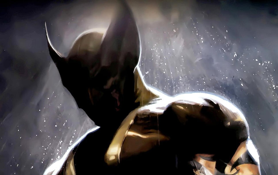 Wolverine wallpaper, Wolverine, Marvel Comics HD wallpaper