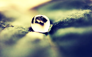 close-up photography of water dew HD wallpaper