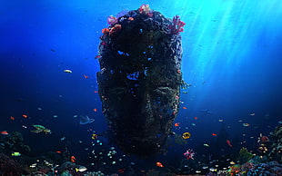 shoal of fish, digital art, Desktopography, underwater, fish HD wallpaper