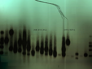 Nine Inch Nails, cover art, music HD wallpaper