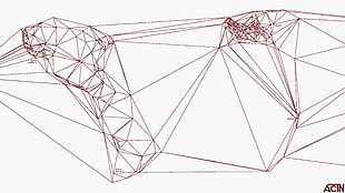 geometric illustration, Feltron, Nicholas Felton, map, lines