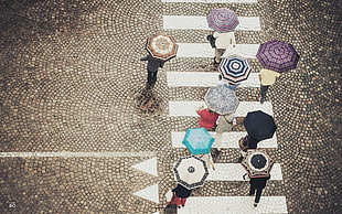 assorted-color umbrella lot, street, umbrella, people