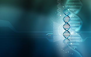 DNA illustration display HD wallpaper