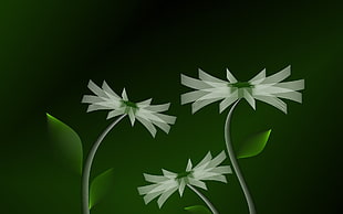 white flower digital wallpaper