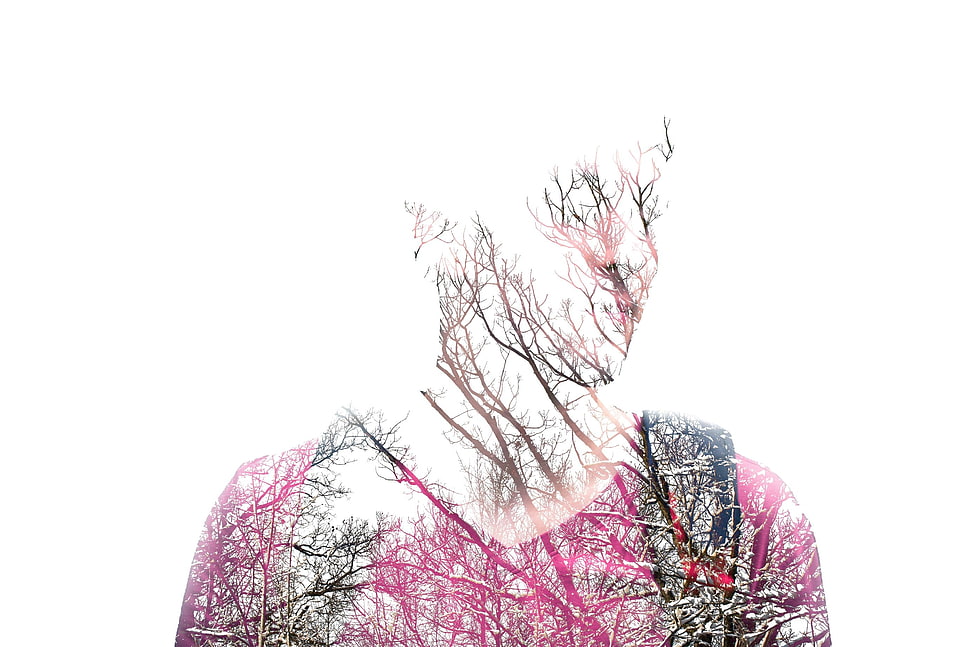 men's pink V-neck tyop, trees, abstract HD wallpaper