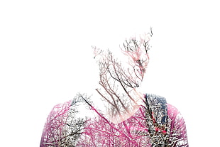 men's pink V-neck tyop, trees, abstract HD wallpaper