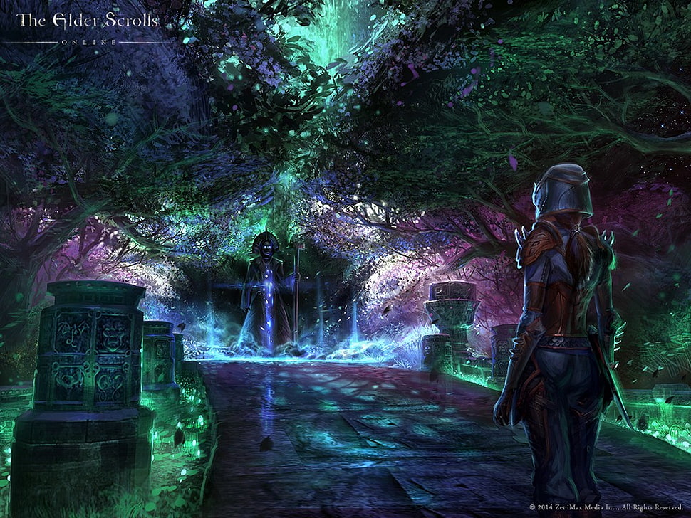 the Elder Scrolls digital wallpaper, The Elder Scrolls Online, video games HD wallpaper
