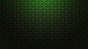 green and black textile