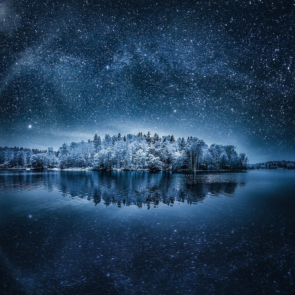 forest illustration, night, landscape, winter, stars HD wallpaper