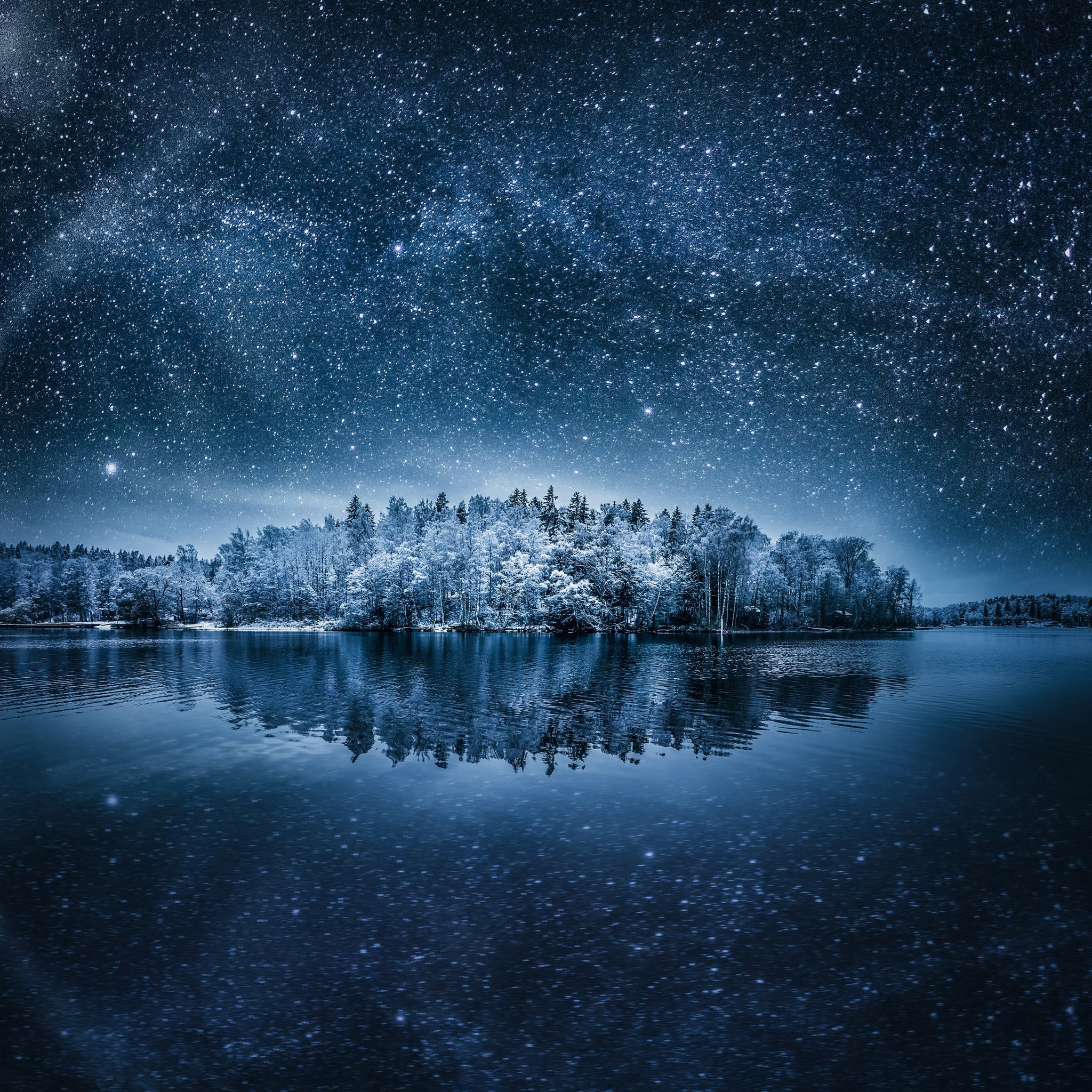 forest illustration, night, landscape, winter, stars
