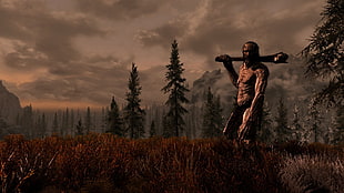 man holding weapon video game digital wallpaper, The Elder Scrolls V: Skyrim, giant