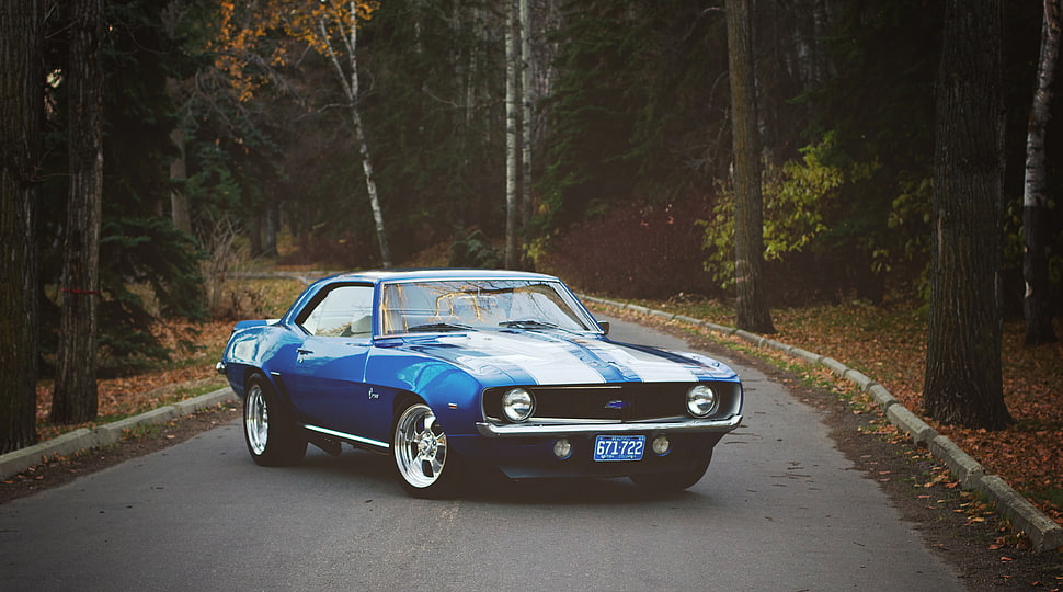 classic blue Ford Mustang muscle car on the road HD wallpaper