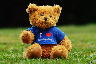 brown and black teddy bear on green grass