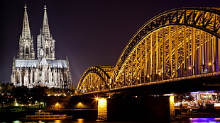 photography of Cologne Cathedral during night time