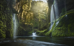 scenery of waterfalls during daytime HD wallpaper