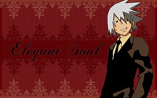 Soul Eater Elegant soul illustration