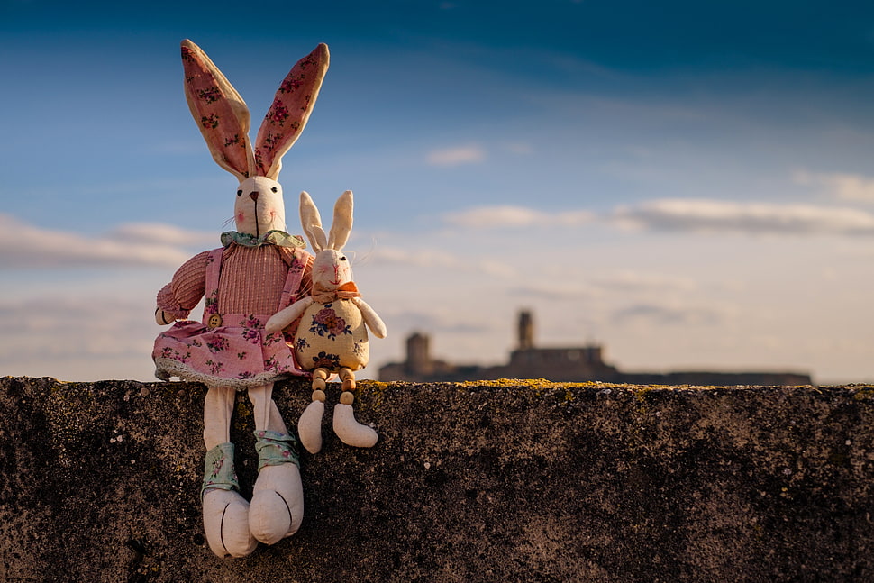 Tilt shift photography of Two rabbit plush toy HD wallpaper