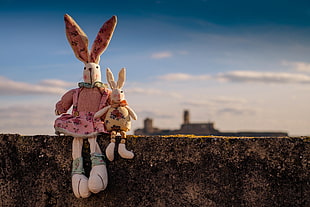 Tilt shift photography of Two rabbit plush toy