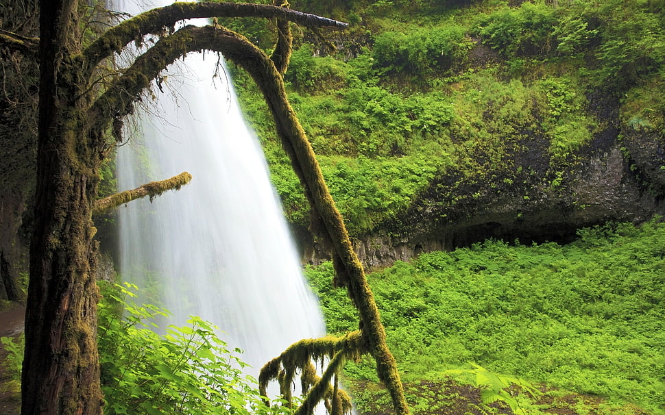 water falls HD wallpaper