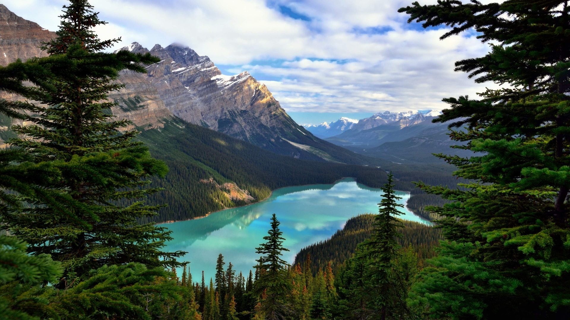 green leaf trees, Canada, lake