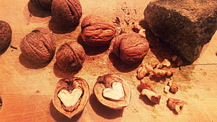 walnut closeup photography
