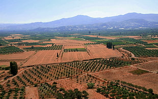 aerial photo of farm HD wallpaper