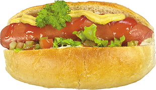 hotdog sandwich with mustard and ketchup HD wallpaper