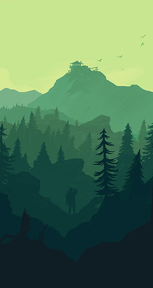 Green pine tree illustration HD wallpaper