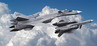 grey Sukhoi-35 HD wallpaper