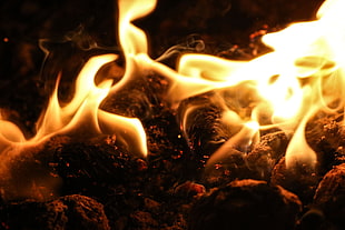 bonfire, Bonfire, Flame, Fire HD wallpaper